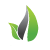 Bamboo Leaf Logo